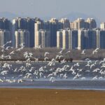 Private Seasonal Day Tour to Beidaihe from Beijing with Birding Experience - The Itinerary Breakdown