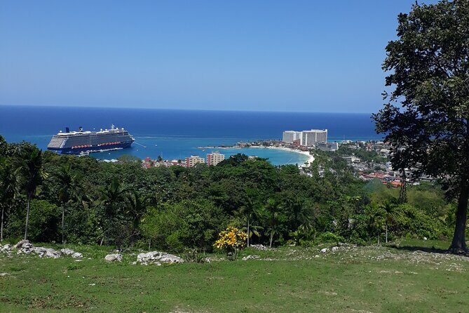 Private Sightseeing Tour from Ocho Rios - Why This Tour Offers Real Value
