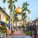 Private Singapore Tour Chinatown with Little India and Kampong - Exploring the Itinerary in Detail