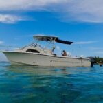 Private Snorkeling Adventure in Puerto Rico's Natural Reserve - Why This Tour Offers Great Value