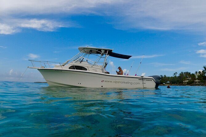 Private Snorkeling Adventure in Puerto Rico's Natural Reserve - Why This Tour Offers Great Value