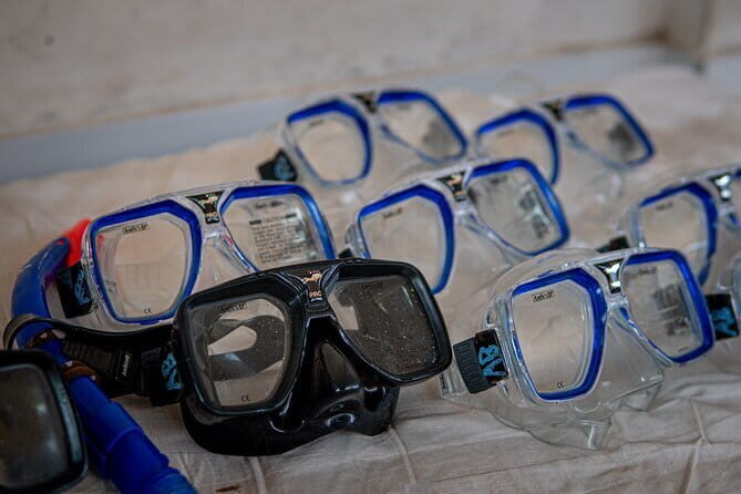 Private Snorkeling Gili Island Including GoPro Camera - The Sum Up