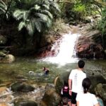 Private snorkeling tour Ishigaki island - Why You’ll Love This Tour