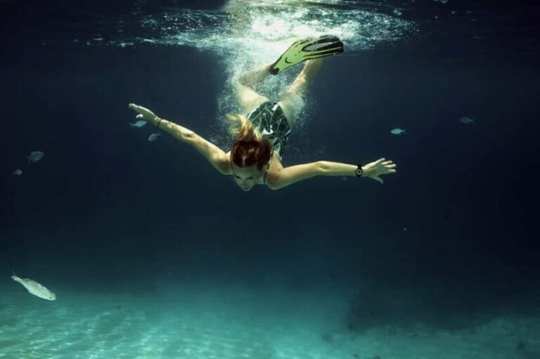 Private Snorkeling with Turtles in the Maldives - The Marine Life and Reefs