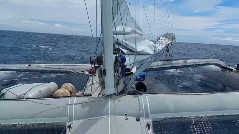 Private: Sosúa Catamaran Sailing & Snorkel Day Trip - What to Expect on the Day