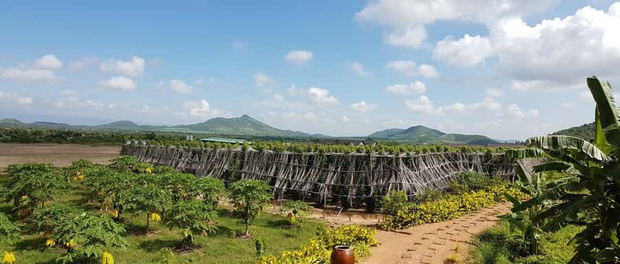 Private SUV Sunset Tour: Bokor National Park - Exploring the Key Stops