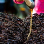 Private Taxi Phnom Penh To Siem Reap Include Floating Villages - Authenticity, Comfort, and Value