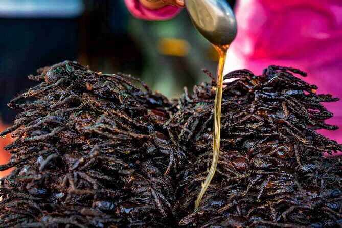 Private Taxi Phnom Penh To Siem Reap Include Floating Villages - Authenticity, Comfort, and Value