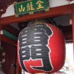 Private Taxi Tour in Tokyo with Government Licensed Guide - Why This Tour Works for Different Travelers