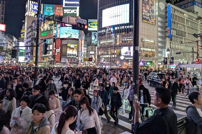 Private Tokyo Night Tour - Why This Tour Offers Great Value