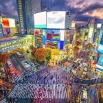 Private Tokyo Tour with English Speaking Guide - Authentic Experiences and Practical Insights