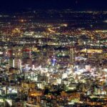 Private Tour - A Bar-Hopping Tour to Make the Most of the Sapporo Nightlife - Practical Details and Tips