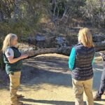 Private Tour at Naracoorte Caves - Visiting Yallum Park: Victorian Elegance