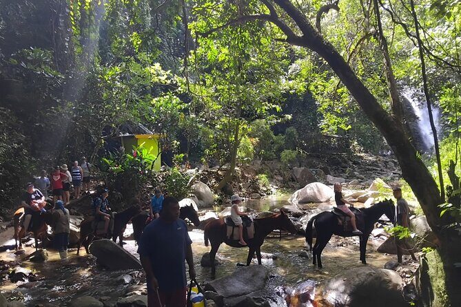 Private Tour Biausevu Waterfall and Fijian Village Experience - An In-Depth Look at the Tour Experience