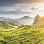 Private Tour : Cameron Highland Day Trip from Kuala Lumpur - Practical Aspects of the Tour