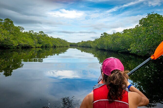 Private Tour Clear Bottom Kayak Mangrove - Discovering the Turks and Caicos Mangrove Ecosystem