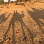 Private Tour :Desert Safari & Bishnoi Village SafarI - Why This Tour Delivers Great Value