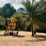 Private tour from Port Antonio to Frenchman's Cove - Who Would Love This Experience?