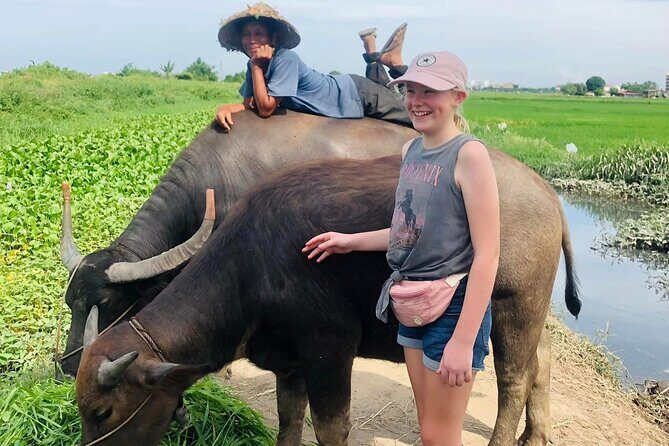 Private Tour Hanoi to Ninh Binh: Mua Caves, Tam Coc & Hoa Lu - Practical Details and Value