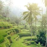 Private Tour Highlights of Ubud - In-Depth Itinerary Breakdown