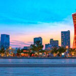 Private tour in Kobe with beef dinner - An In-Depth Look at the Kobe Private Tour Experience