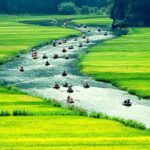 Private tour in Ninh Binh from Hanoi - A Deep Dive Into the Ninh Binh Experience