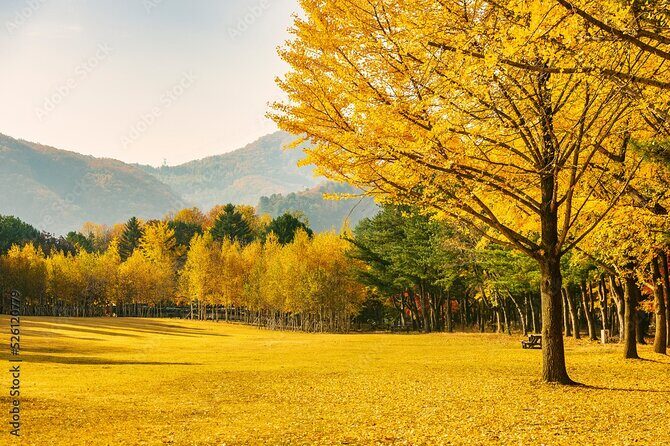 [Private Tour] Nami Island+Morning calm Garden+Petite France - Pricing and Value