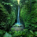 Private Tour of Balis Temples, Jungles & Hidden Gems - A Closer Look at the Itinerary: What You Can Expect