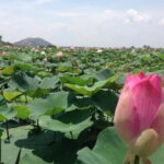 Private Tour Prek Toal Bird Sanctuary Off Beaten Track - Authenticity and Unique Features