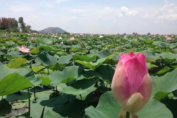 Private Tour Prek Toal Bird Sanctuary Off Beaten Track - Authenticity and Unique Features
