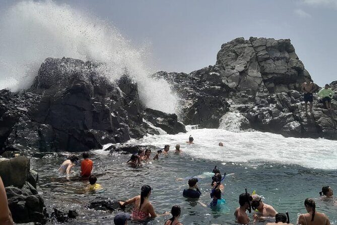 Private Tour - Rock formations and Turtle Viewing - The Guide and Experience