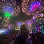 Private Tour: Singapore River Cruise & 2 Top-visit Light shows - Who Is This Tour Best For?