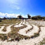 Private Tour: Swim with Turtles, Cave Pool & Floating Breakfast - Practical Insights on Value and Experience