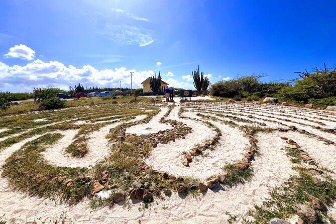 Private Tour: Swim with Turtles, Cave Pool & Floating Breakfast - Practical Insights on Value and Experience