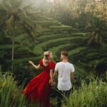 Private Tour : Tegalalang Rice Terrace, Temple And Waterfall - Detailed Breakdown of the Experience