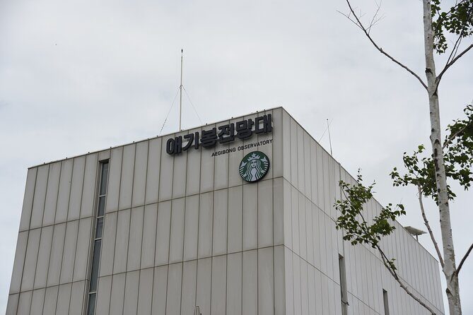 Private Tour to DMZ Outpost & UNESCO Royal Tombs - What You Get and What to Expect