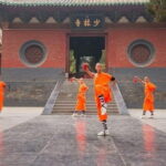 Private tour to Longmen Grottoes and Shaolin from Xi'an by train - Practical Aspects & Value