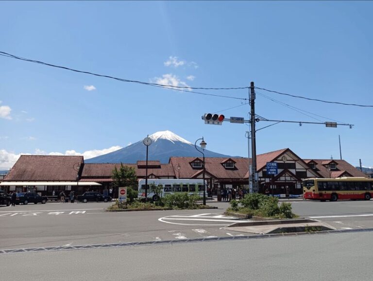 Private tour to Mt Fuji, Lake Kawaguchi and Chureito Pagoda - The Practicalities: Transport, Cost, and Comfort