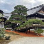 Private Tours by Luxurious Vans in Kyoto, Osaka, Nara. - What the Reviews Tell Us