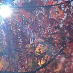 Private Tours (Group of 5-7) - Exploring the Regions