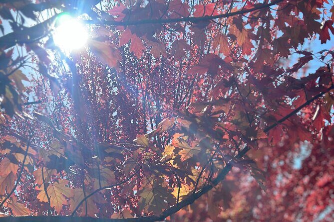 Private Tours (Group of 5-7) - Exploring the Regions