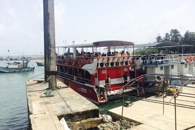 Private Transfer and Whale Watching Tour from Hikkaduwa and Galle - Final Thoughts