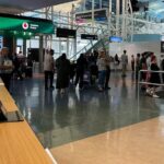 Private Transfer From Auckland Airport To West Auckland - Final Thoughts: Is This Transfer Right for You?