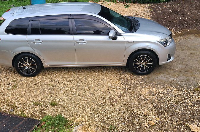 Private Transfer from Montego Bay Airport to Ocho Rios Hotels - What to Expect from the Service