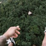 Private Transfer in Punta Cana, Hotels and Airport - Cost and Value Compared to Other Services