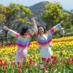 Private Transfer to Ba Na Hills - The Sum Up