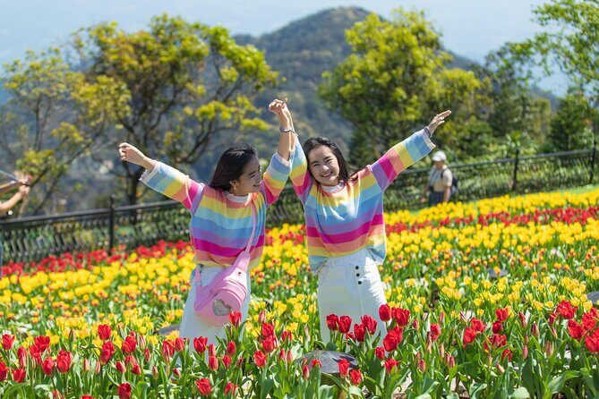 Private Transfer to Ba Na Hills - The Sum Up