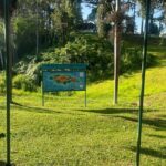 Private Transfer/Tours to/from Montego Bay - Final Thoughts