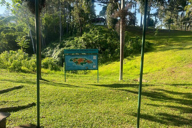 Private Transfer/Tours to/from Montego Bay - Final Thoughts