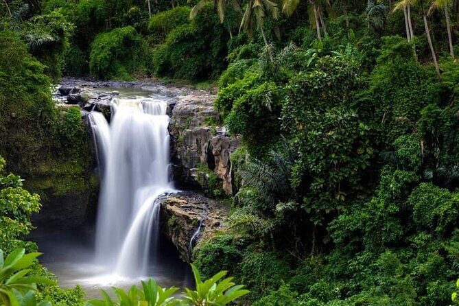 Private Ubud Tour - Final Thoughts